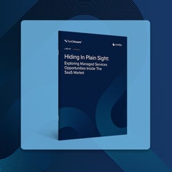 Unlocking Opportunities: MSP SaaS Security
